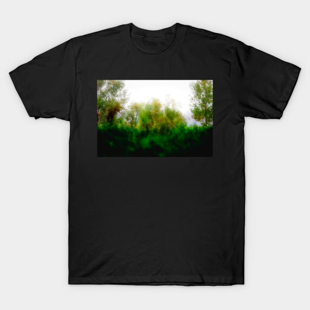 Misty day in the park T-Shirt by CanadianWild418